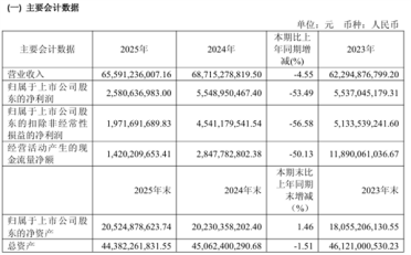 非洲之王利润腰斩！传音2025年净利润仅25.81亿元：手机出货量约1.69亿