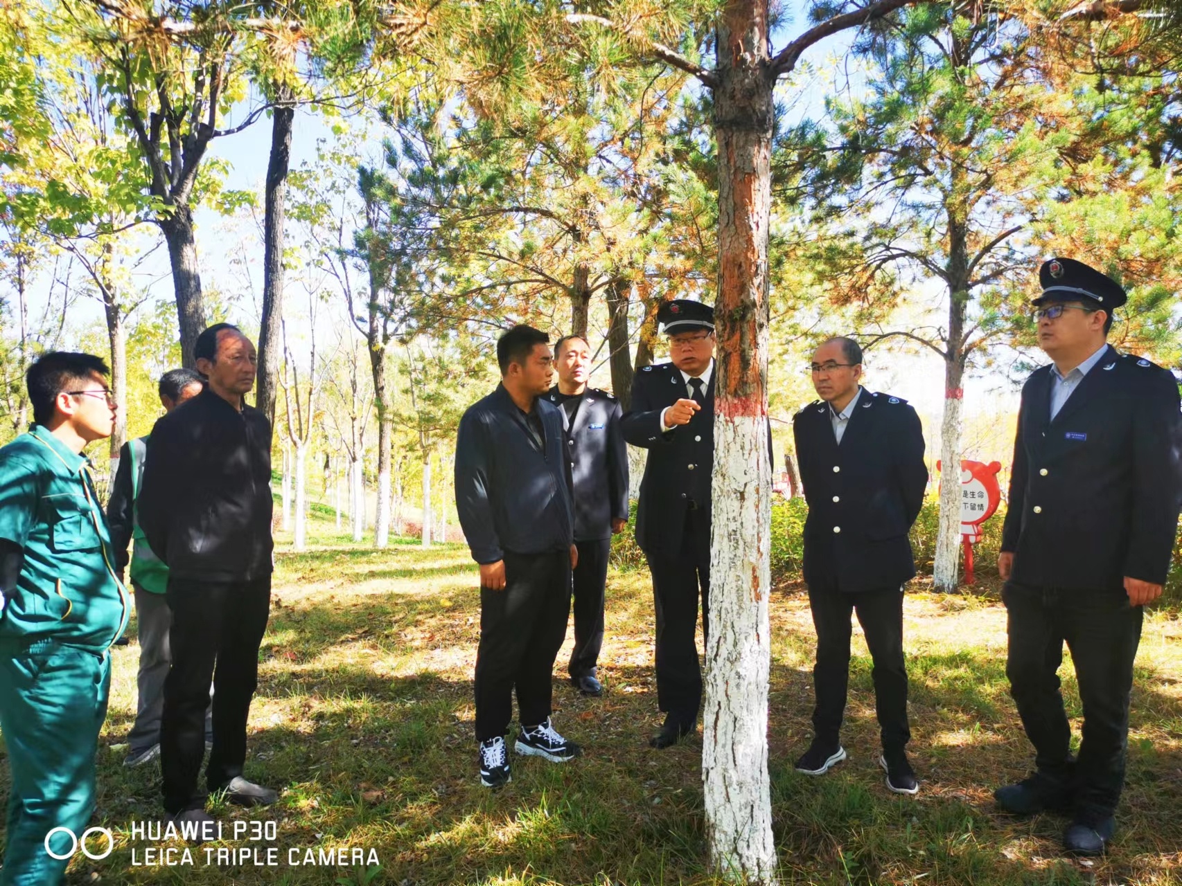 延安市森林病虫害防治检疫站