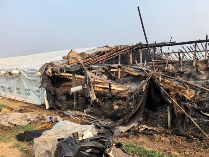 商丘一鸭棚起火,活鸭差点变成"烤鸭"