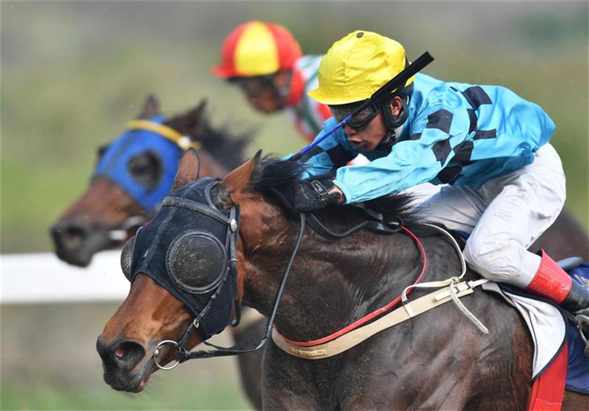 第十九届中国·武汉国际赛马节隆重开幕