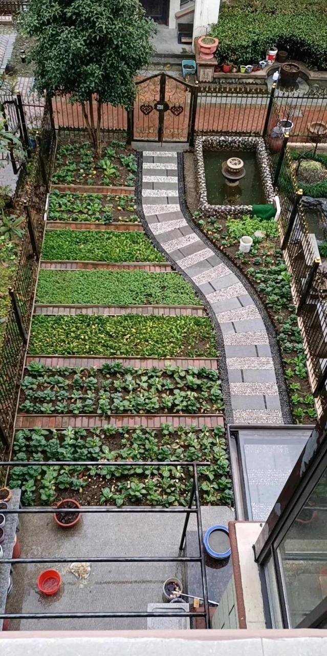城市菜园子图片