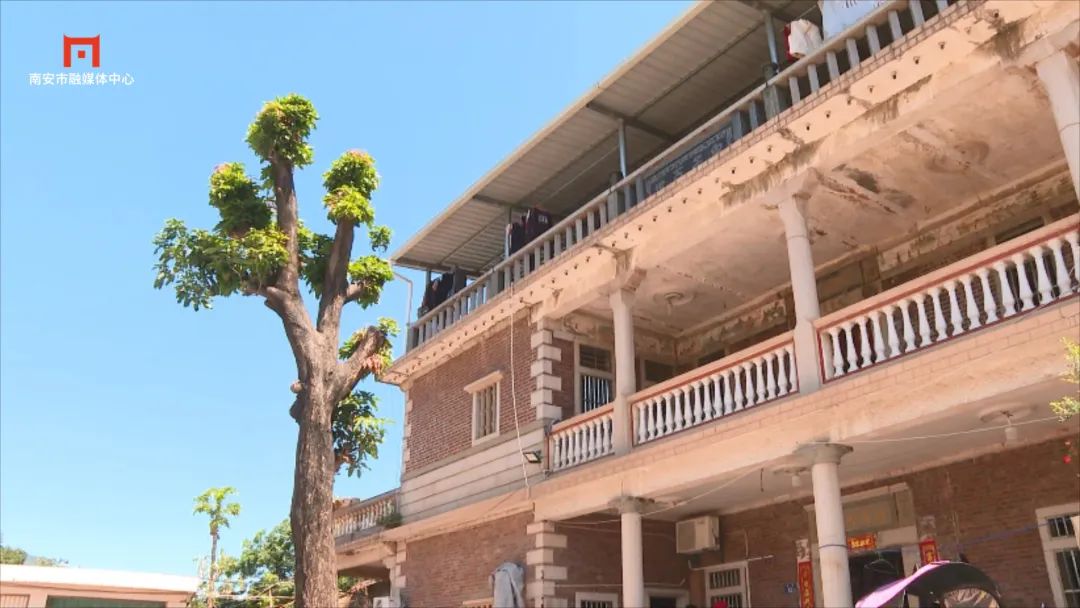 首批278栋完成预签约南安仑苍镇区更新改造项目火速推进