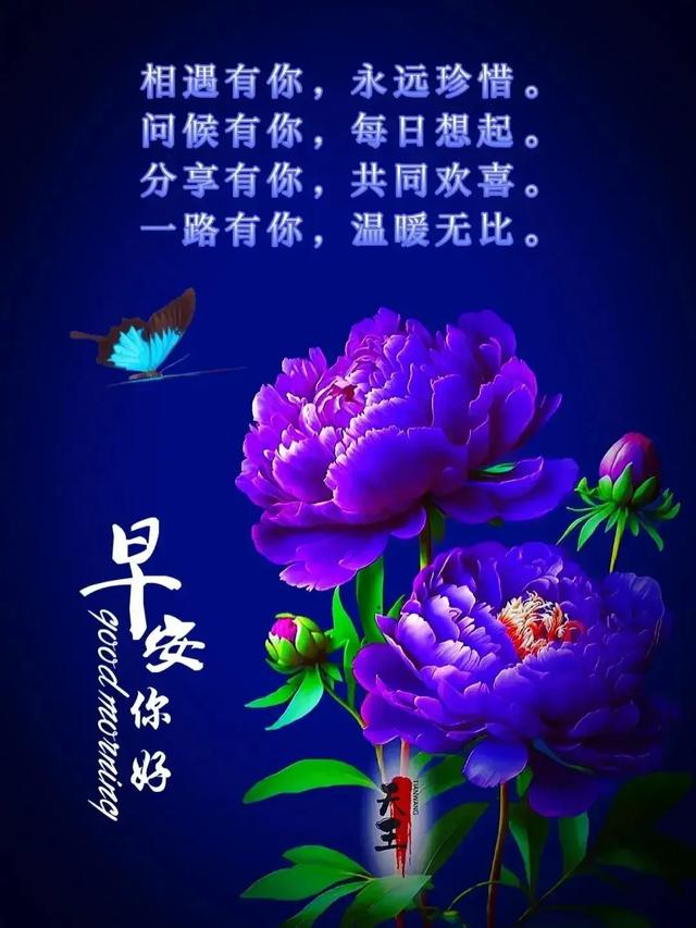 每天都要元气满满,早安朋友,早上好最美祝福问候图片