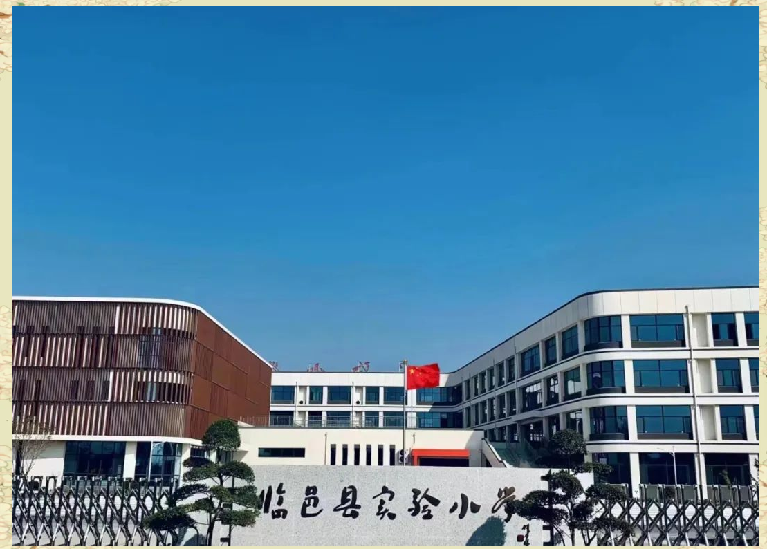 临邑县实验小学:教育质量与创新成果的全景展示