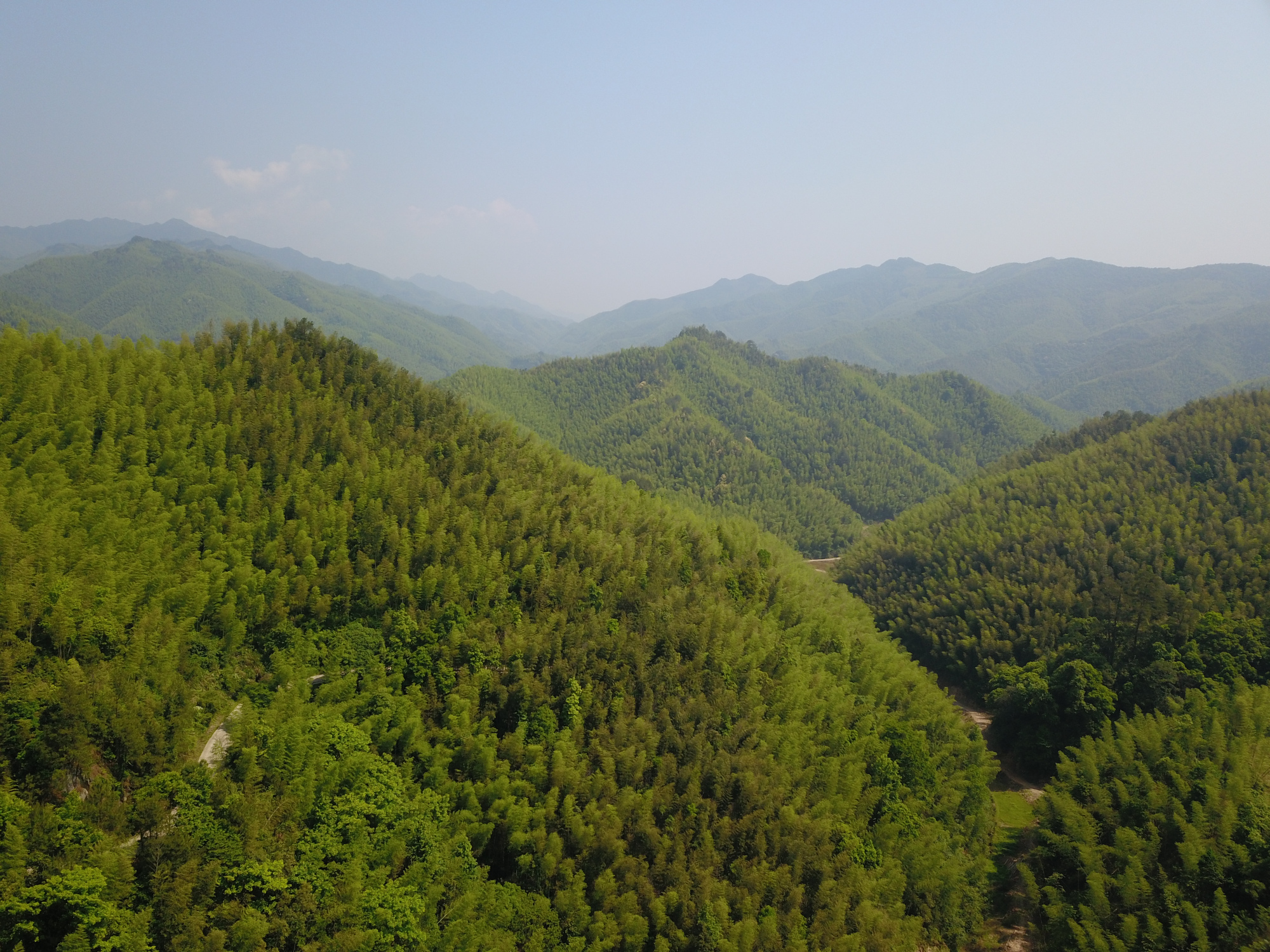 此处风景独好 全域旅游让醴陵沩山镇"游"向美好生活