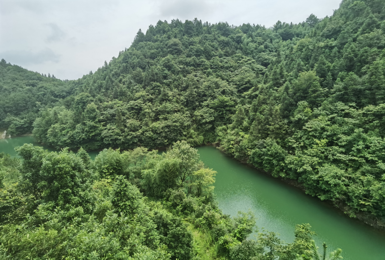 溪流潺潺, 雪峰山上的聖水啊, 經北斗九溪, 入漵水沅江, 歡騰著流向