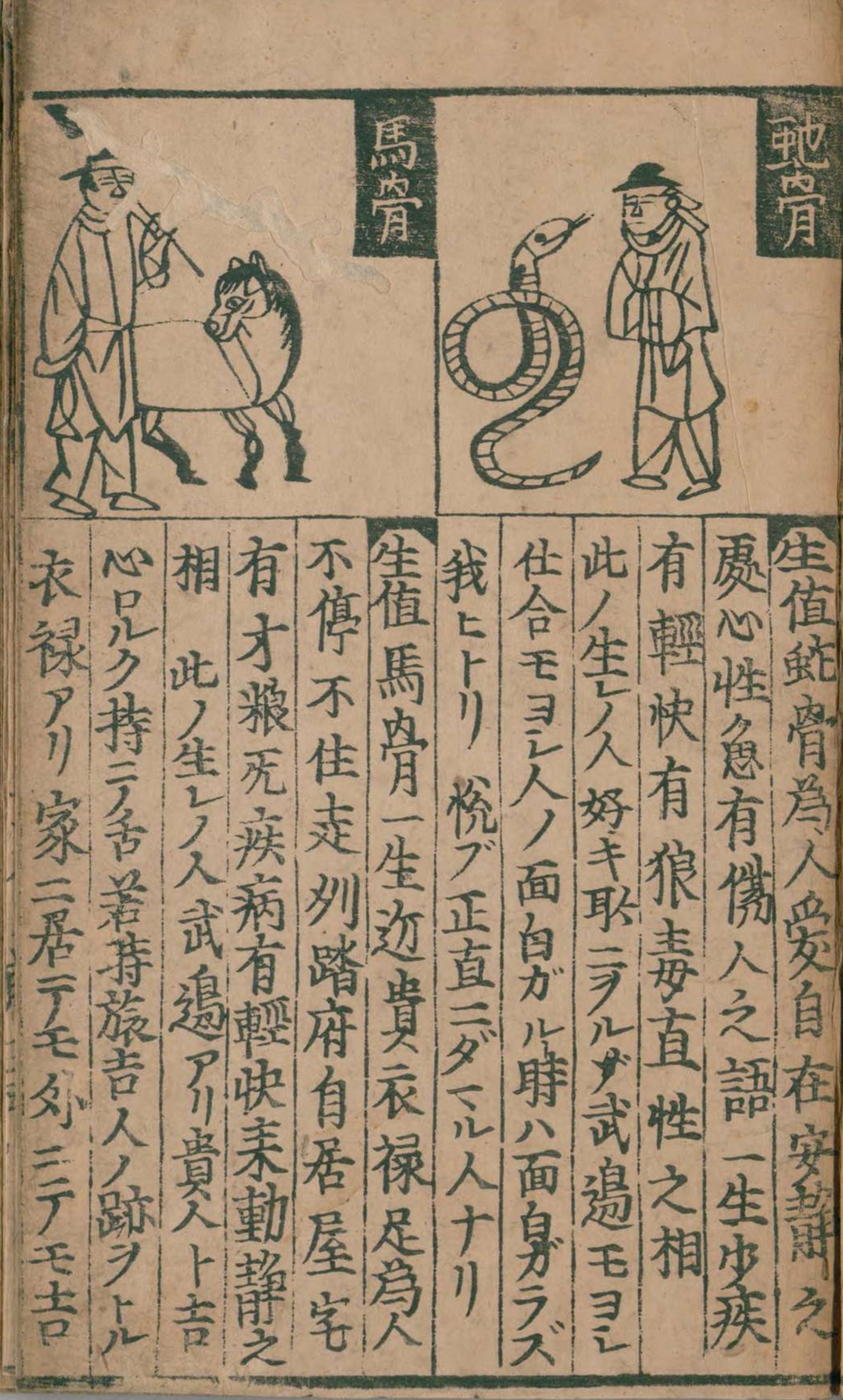 八卦书「易学古书籍」