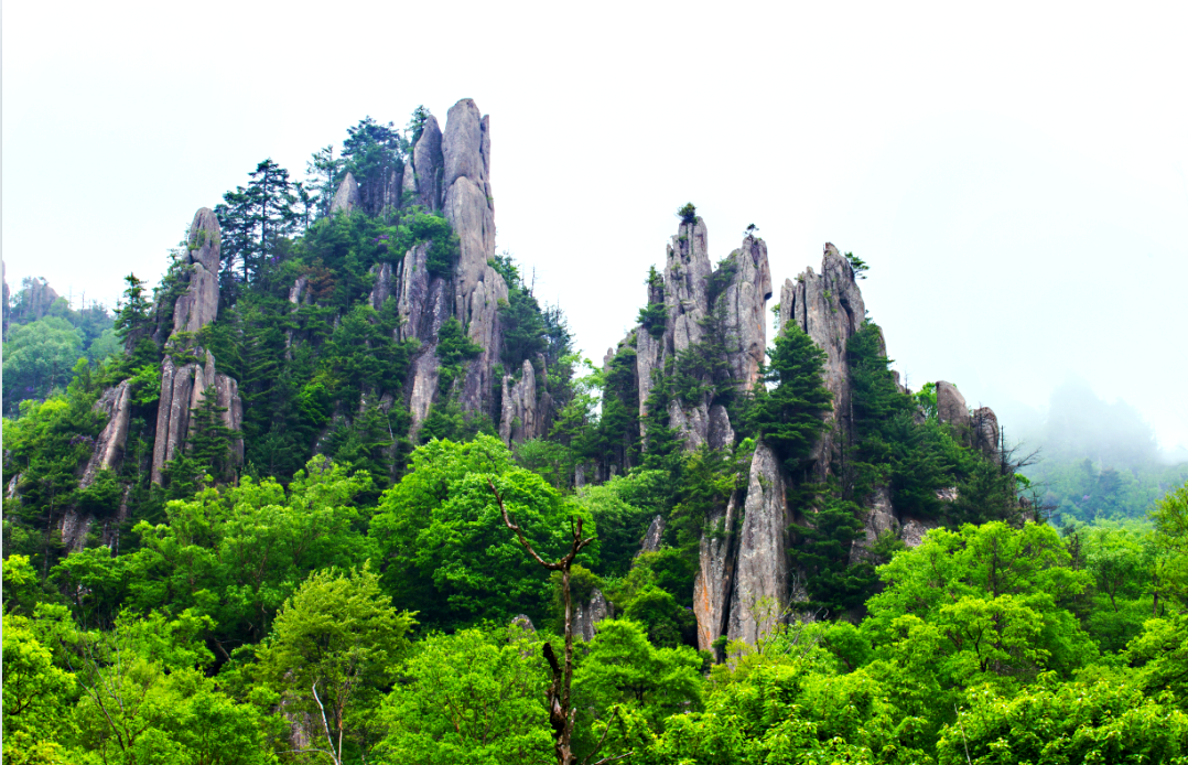 凤县:南北交融的康养旅游胜地
