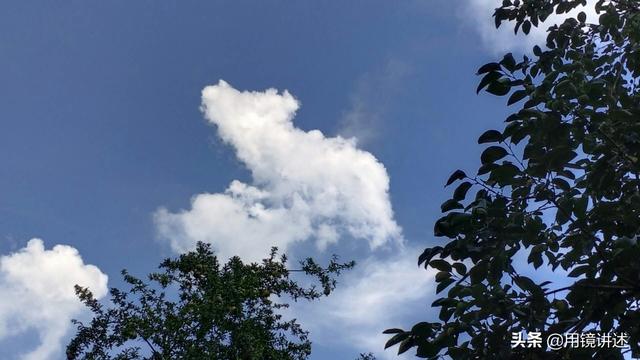 猜一猜:图片上的云彩像什么动物呢