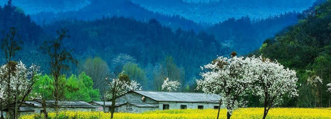 超生伙同弟巨贪女厅官梅榕:敛财558万,痛泣悔青肠子