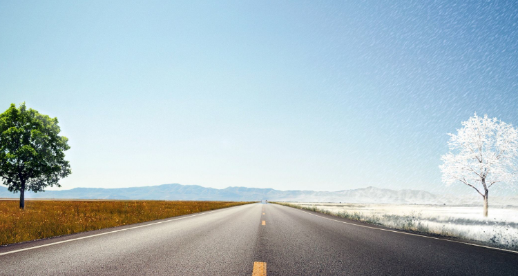 the right path意思