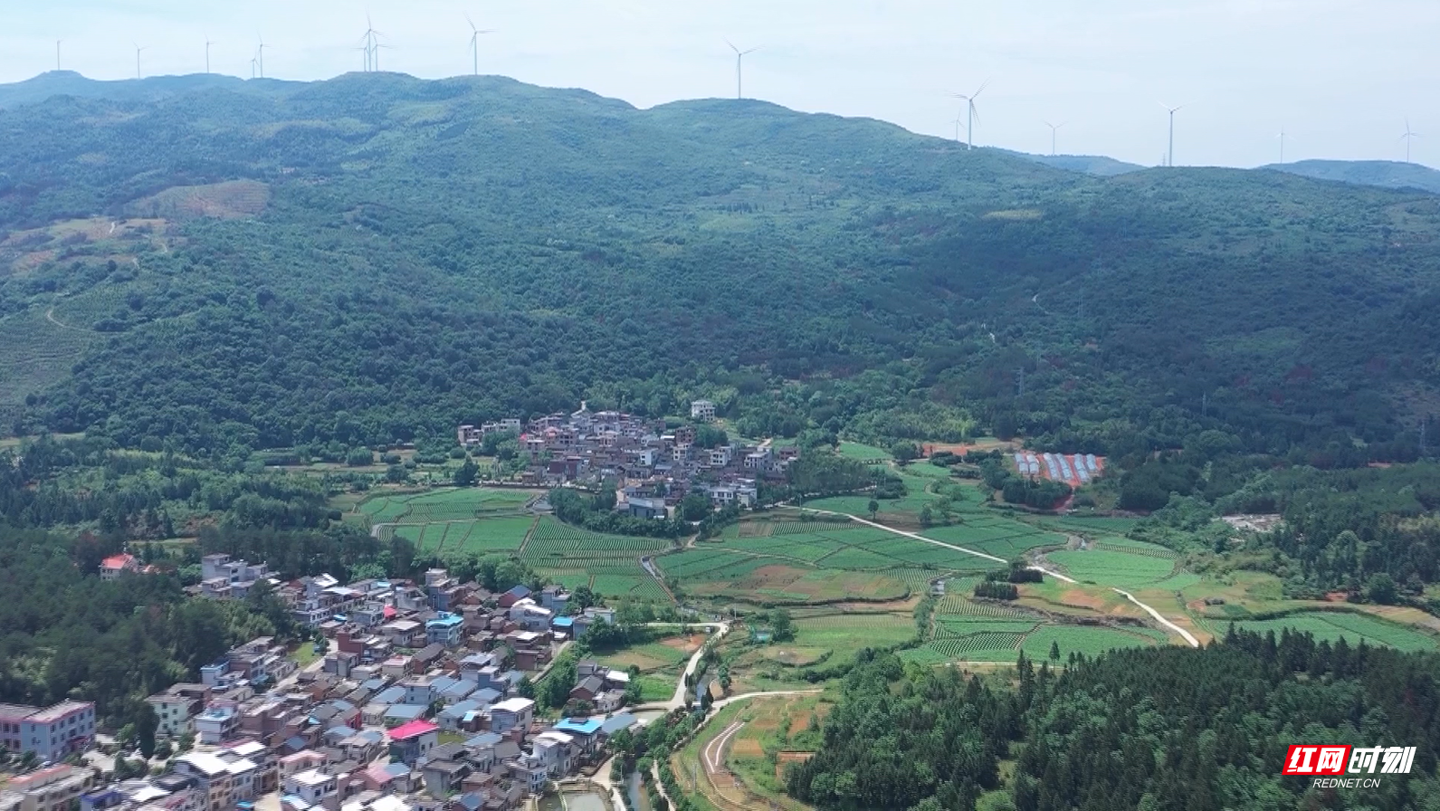 临武县龙水村:小小竹篱笆 围出美丽新乡村