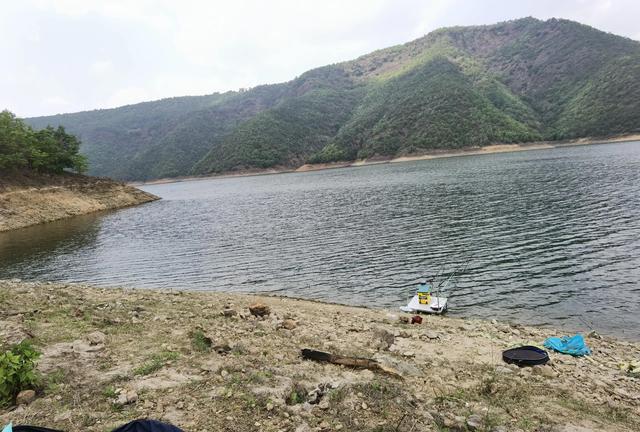 昆明周边100公里柴石滩水库,行程不出昆明市区,野钓鱼资源丰富