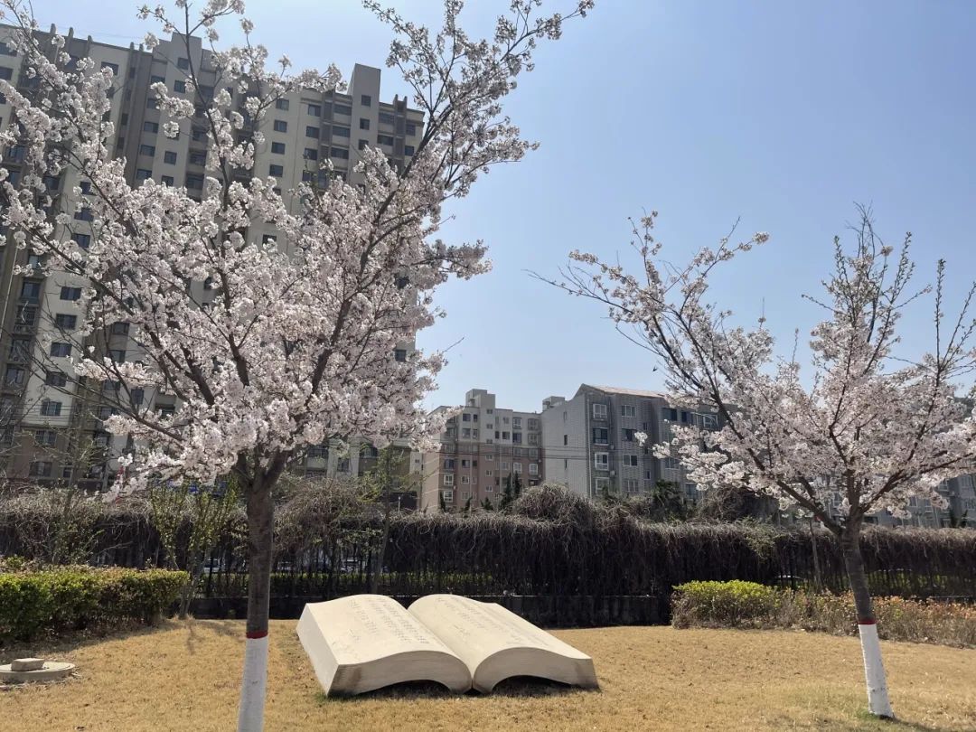 无论是唐海一中还是曹妃甸一中,亲眼见证着学校一步步从小到大,从弱到