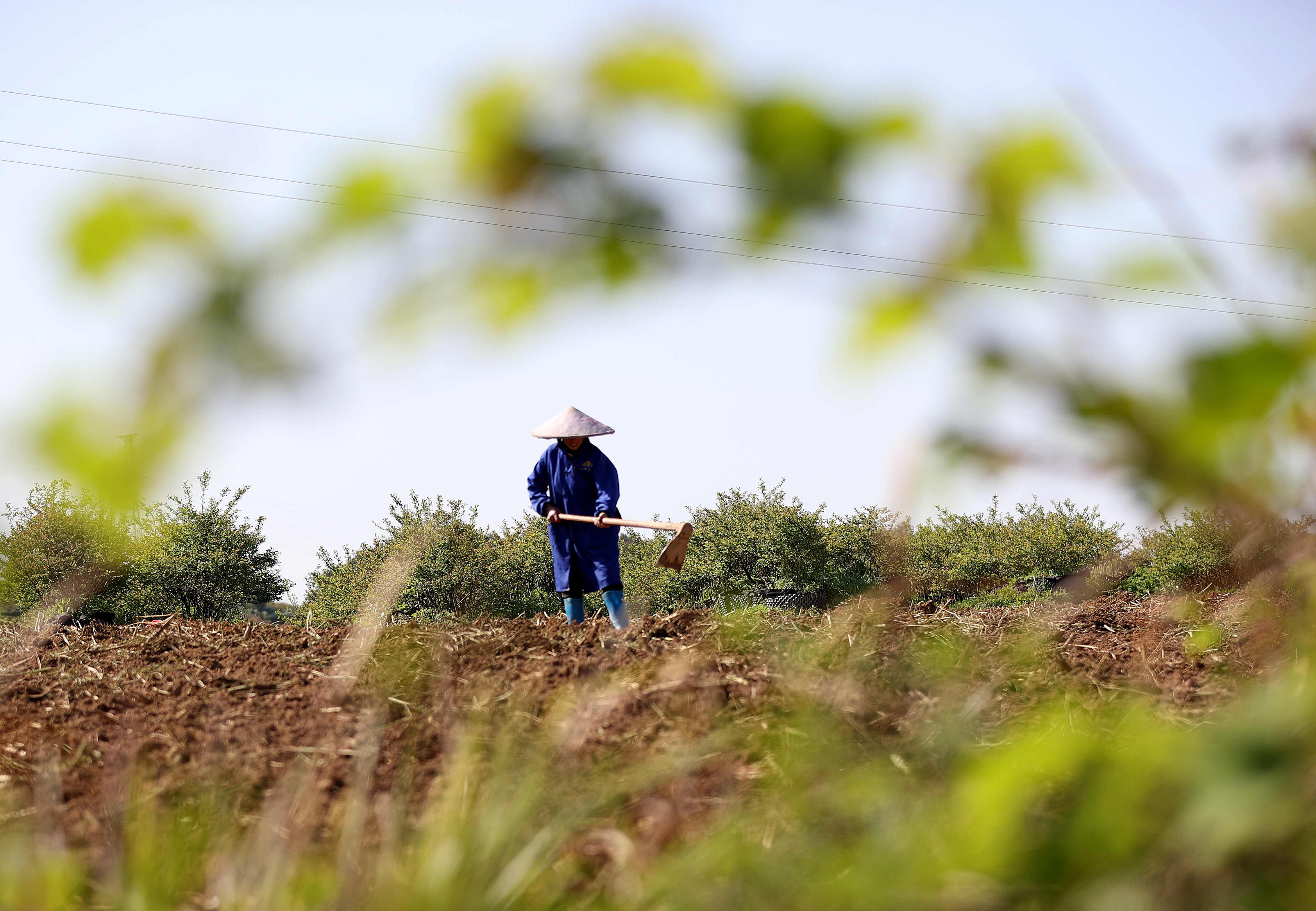 清明时节农事忙