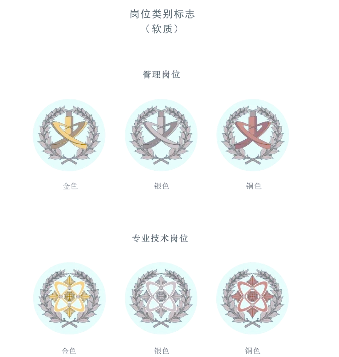 文职人员服装与标志全解析:从礼服到作训服