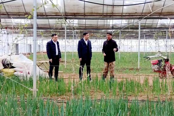 潞城农商银行|李绍峰调研雪后农业生产情况