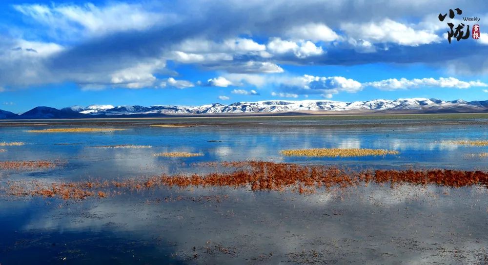 碌曲之美 如诗如画