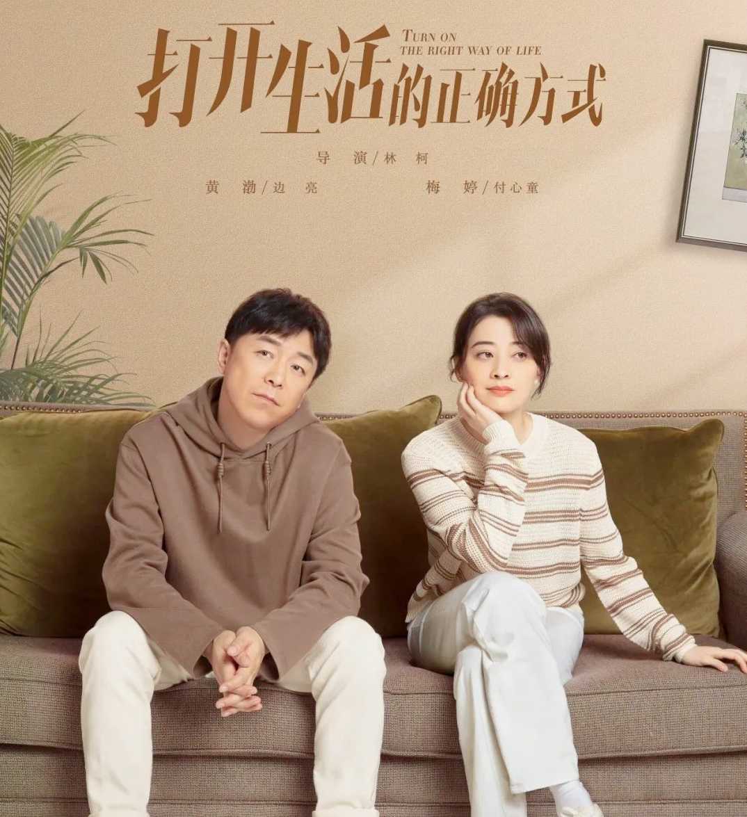 黄渤梅婷主演的电视剧,打开生活的正确方式剧情介绍