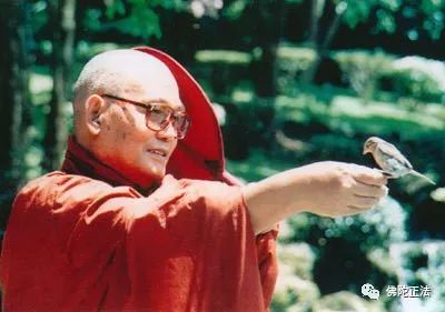 德宝法师:禅修正义