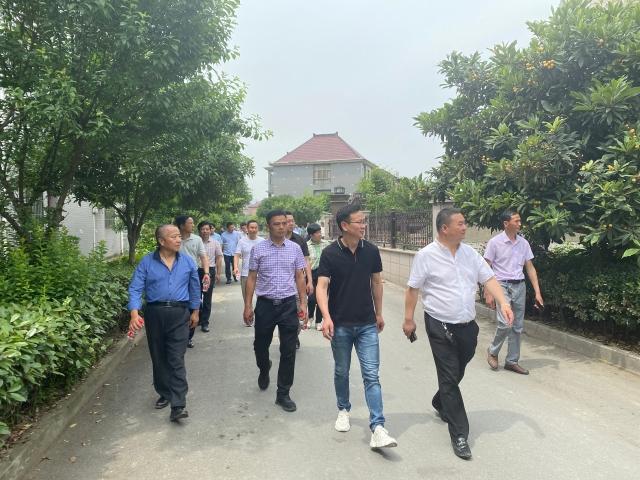 灵桥镇 baijiahao.baidu.com