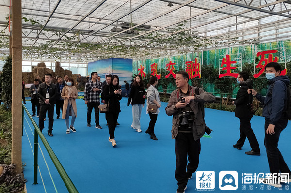 乡村振兴看沂蒙丨留住记忆留住乡愁 兰陵代村幸福的生活继续向前