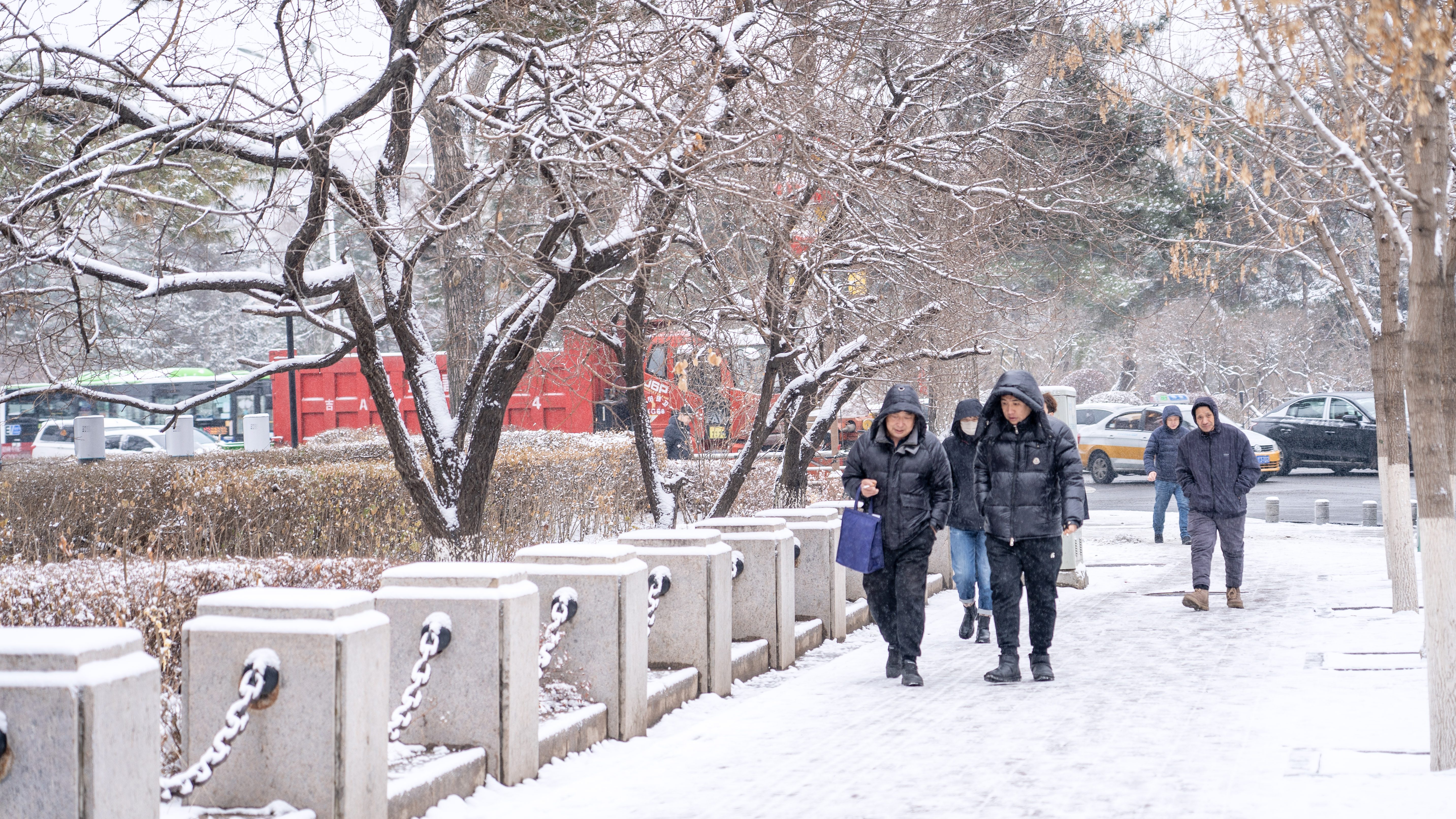 长春下雪图片图片