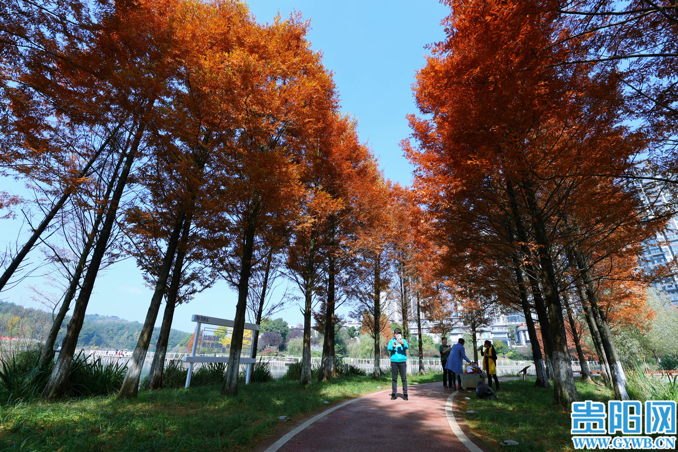 阅山湖公园简介图片