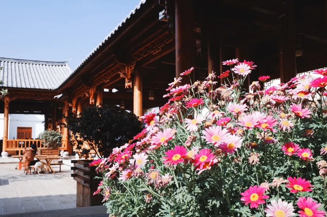 voyage │ 逝川与流光,飘忽不相待