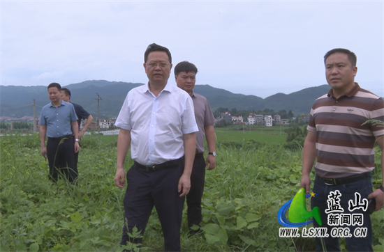 蓝山:龙向洋到塔峰,楠市等乡镇调研防汛工作
