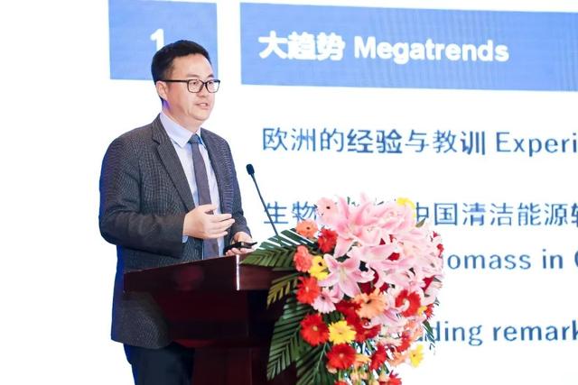 涂建军:借鉴欧洲生物质能发展经验,促进中国清洁能源转型发展