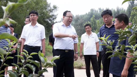 副市长薛青松来我县调研