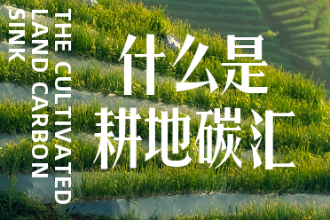 什么是耕地碳汇知识分享