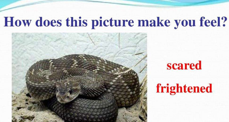 frighten的形容词和名词