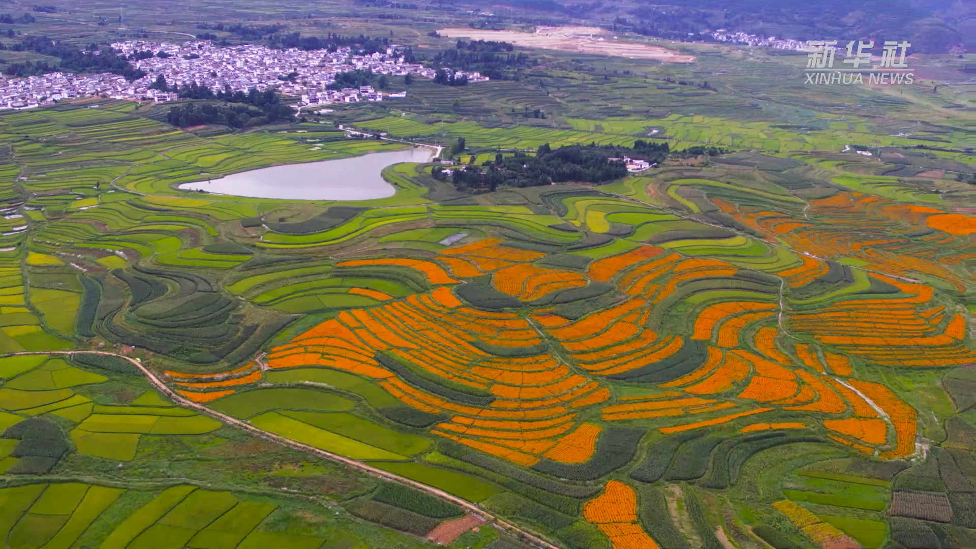 云南大理花田交错宛如大地调色盘