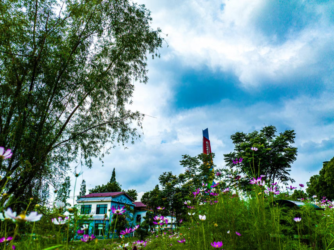 我的家乡醉美南县夏日掠影南县罗文三十