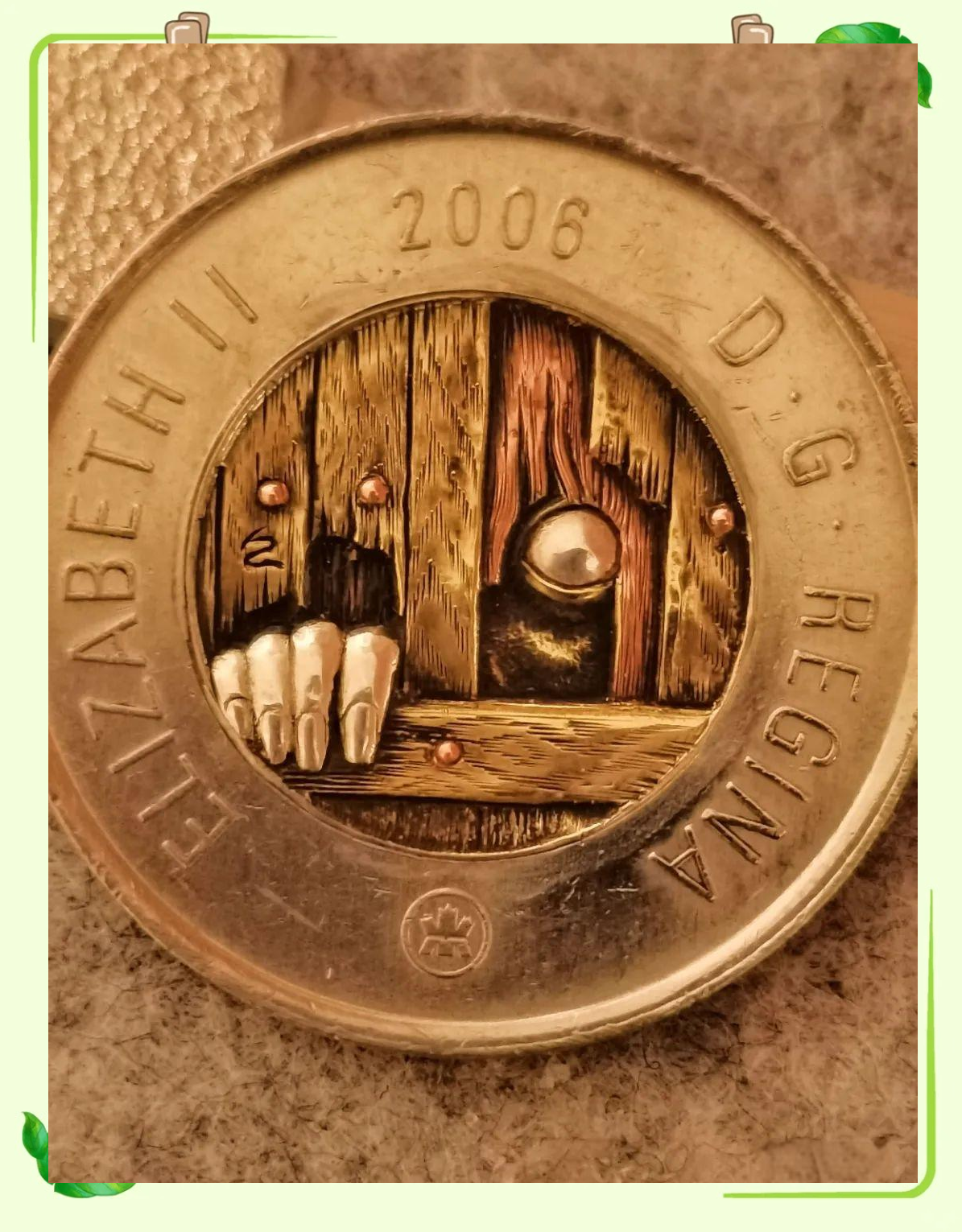 我的多款流浪币介绍