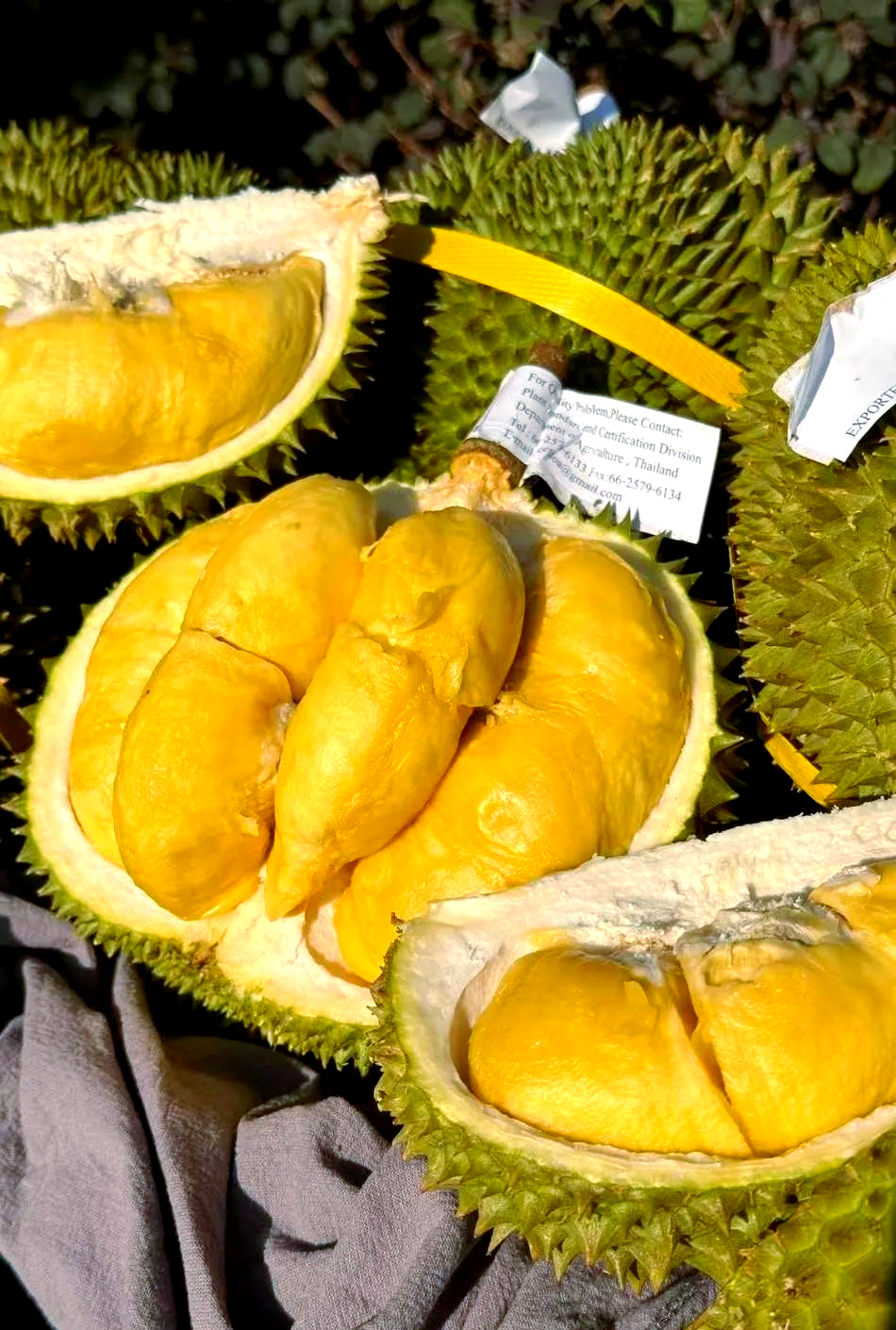 泰国甲仑榴莲:香气浓郁,口感超赞!