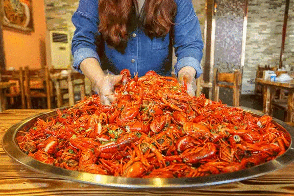 ��������С��Ϻ������ ע���⼸����Ⱥ��ʳ