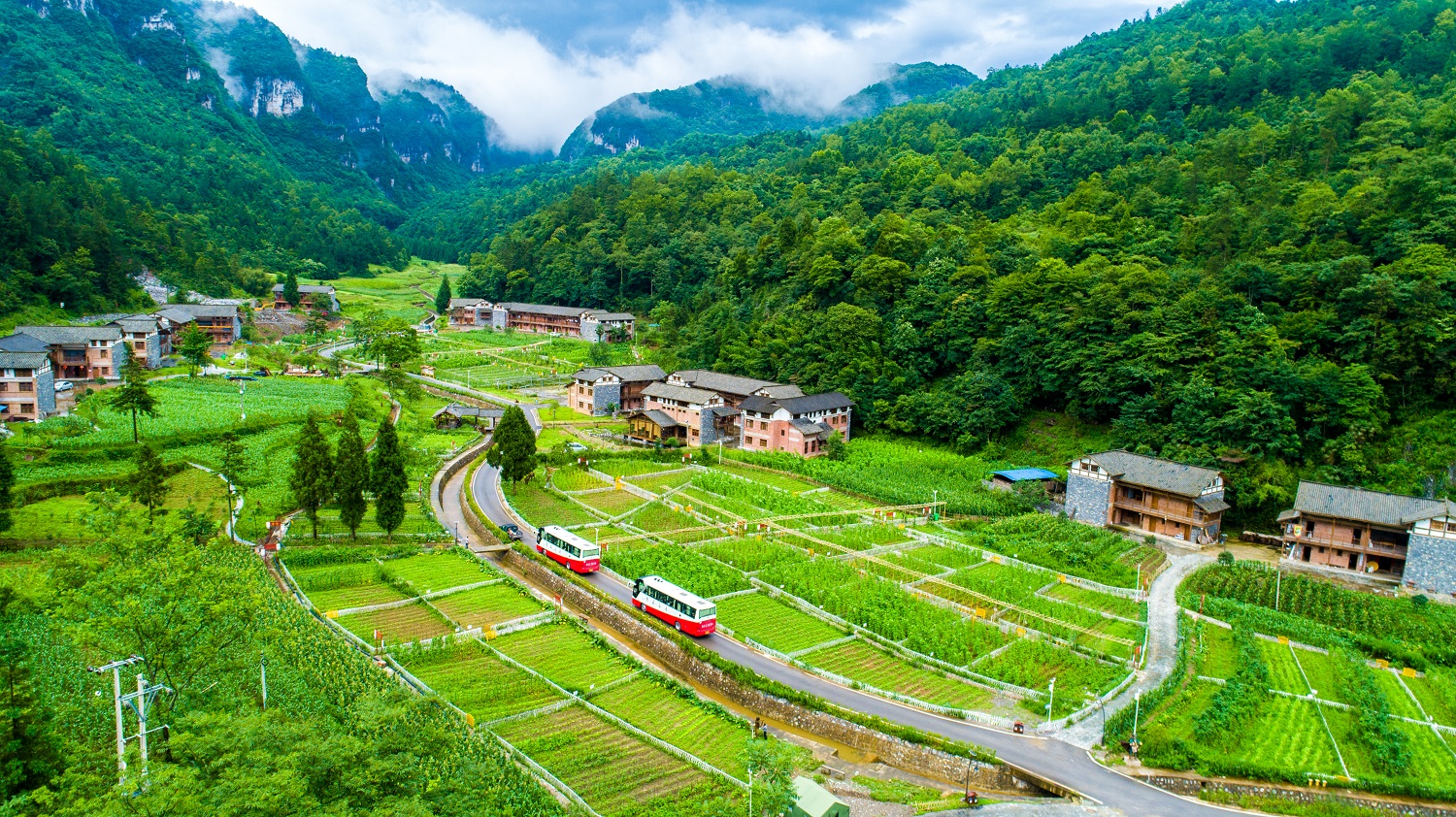 彭水:打造生态宜居和美乡村