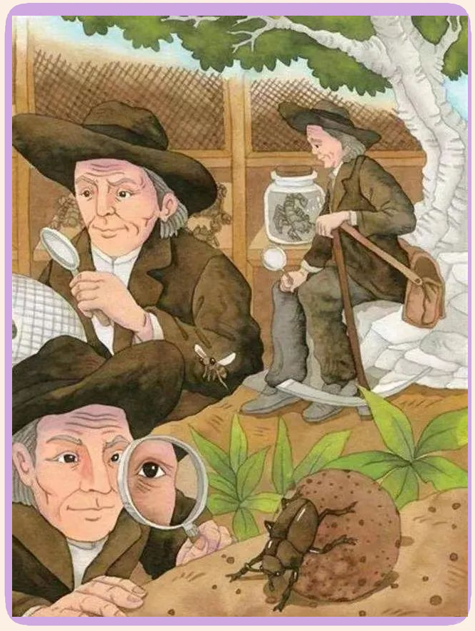 探索昆虫世界的奥秘:法布尔的感人至深故事
