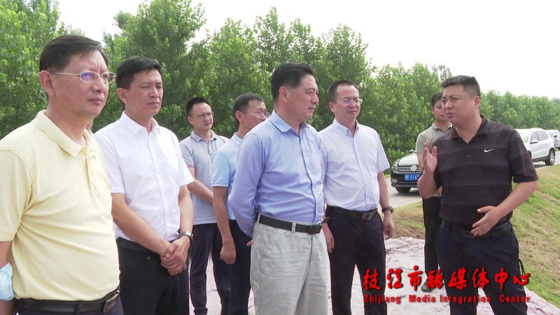 谭业明来枝调研当枝松高速公路项目建设情况