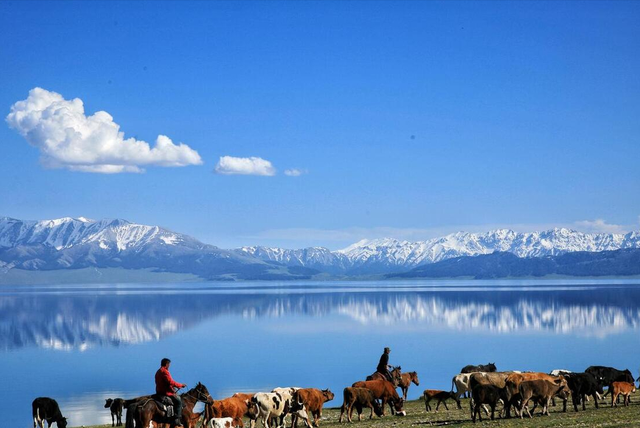 来新疆赛里木湖旅游到底是什么样的体验
