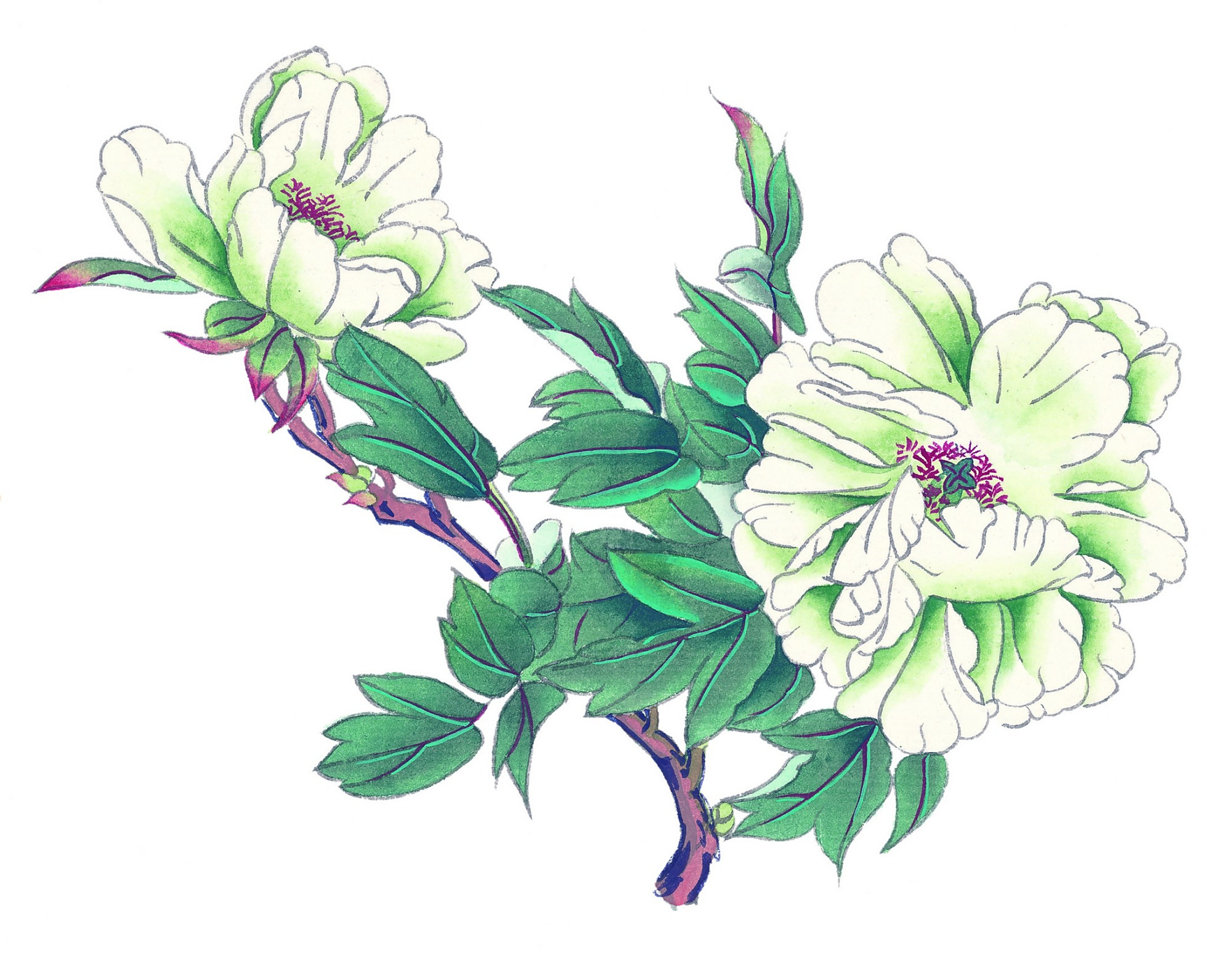 《红楼梦》一直以花喻人,为何薛宝钗是牡丹花?