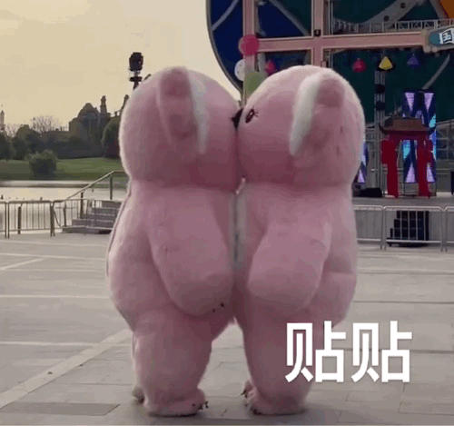 该贴贴就贴贴,拥抱让人多快乐!