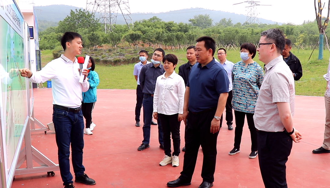 石玉林来津调研开放型经济和农产品质量安全工作