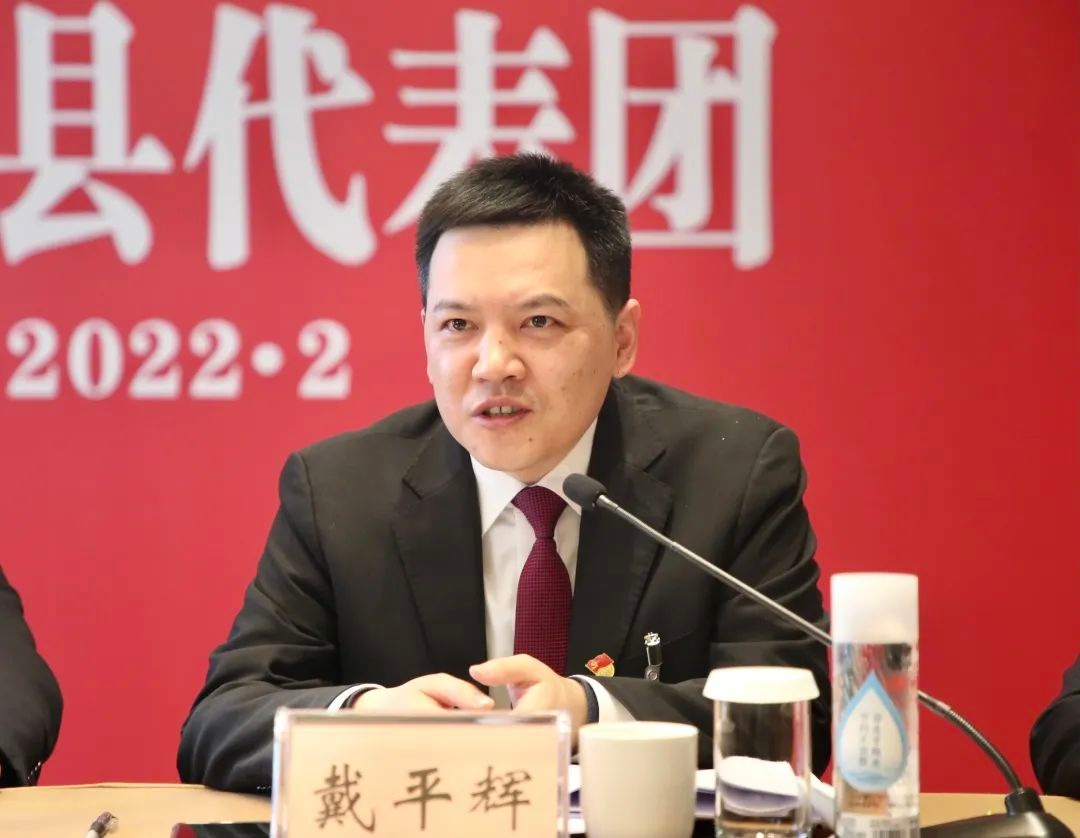 遂昌县代表团热议市委工作报告|戴平辉出席并讲话