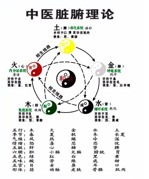 第一节 阴阳五行与天干地支