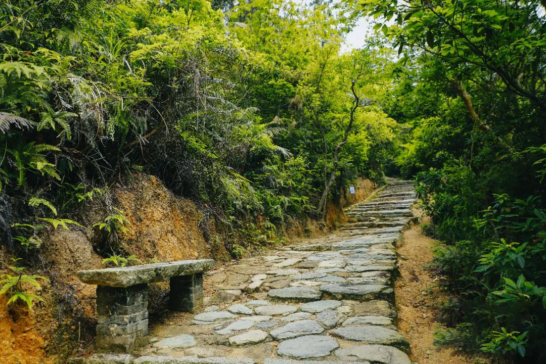 珠海上栅村图片