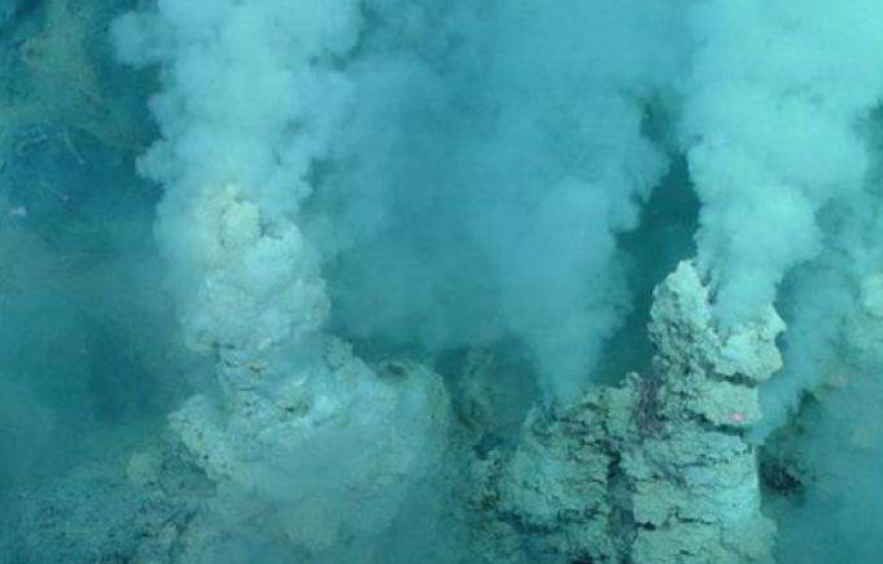 生活在450℃海底热泉旁的大虾,数量惊人,能下火锅吗?